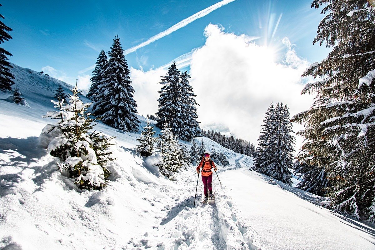 Chatel-foto-wispo