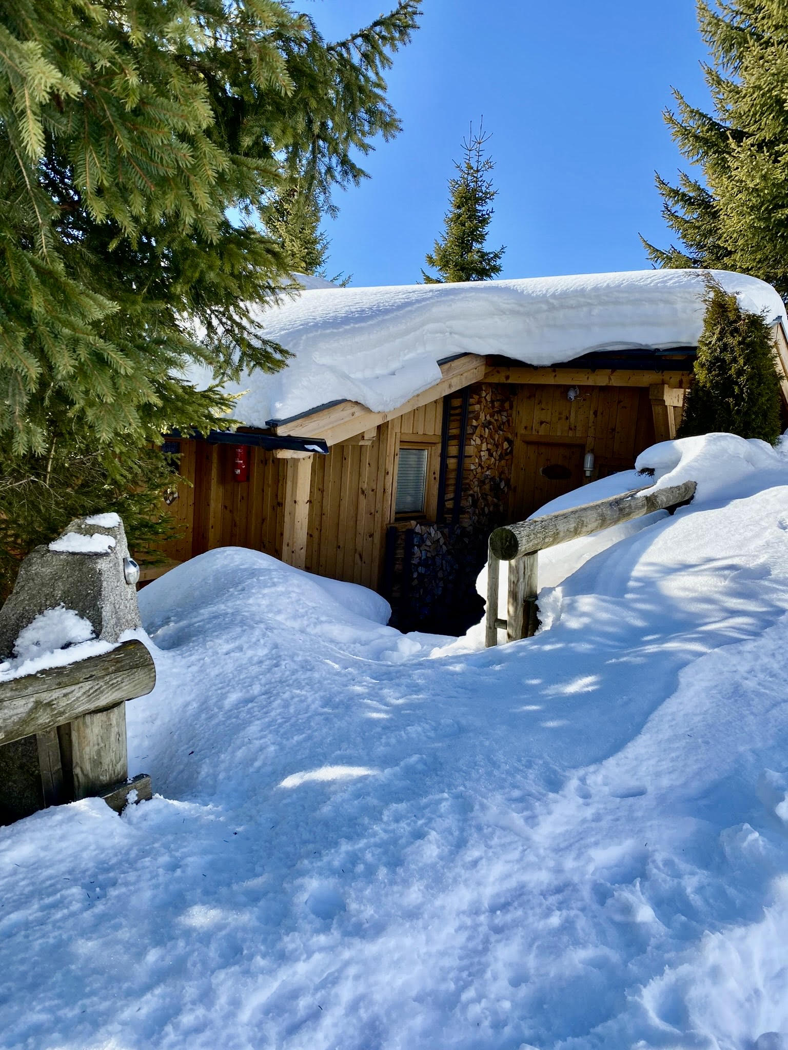 Koningsleiten-Chalet-Romantisch-Zillertal-Arena