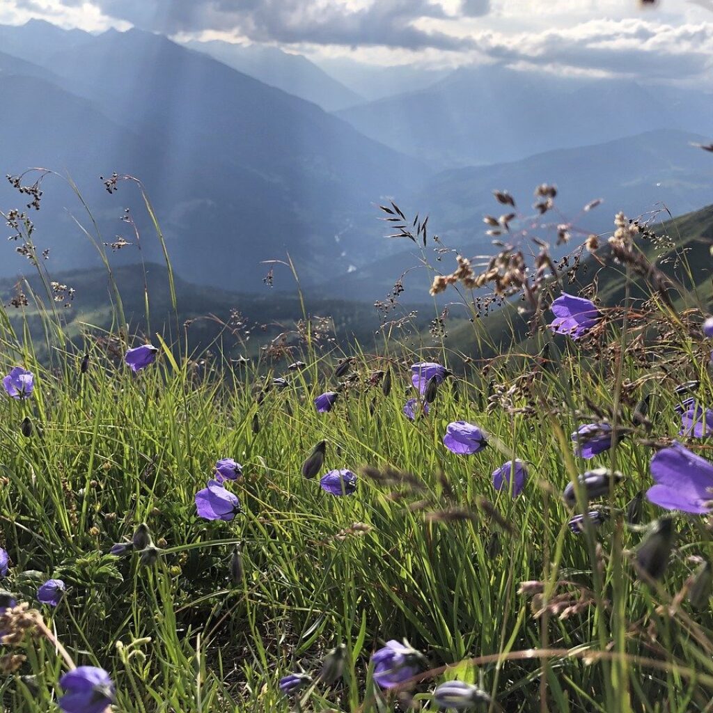 mountain, kauns, tyrol